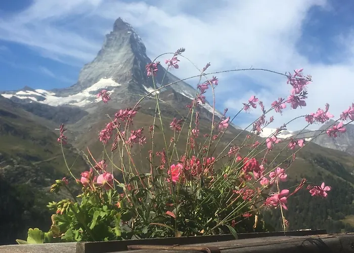 Apartament Modernes *